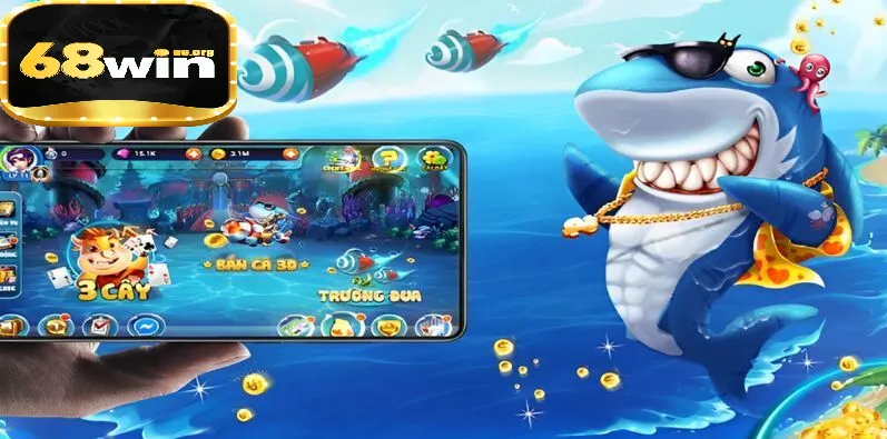 Kinh nghiệm chuyên nghiệp thực tế